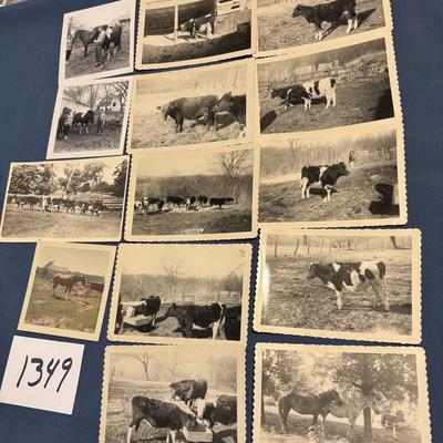 Vintage Farm Photos