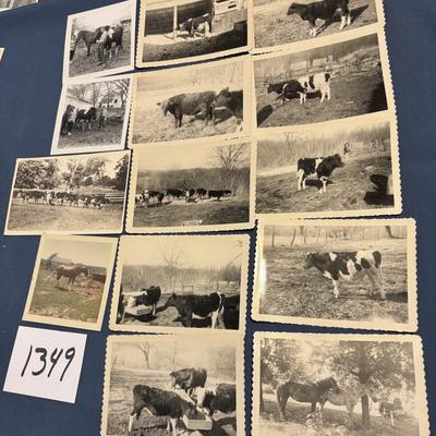 Vintage Farm Photos