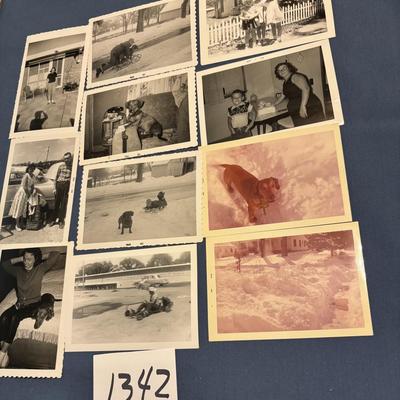 Vintage Photo Lot