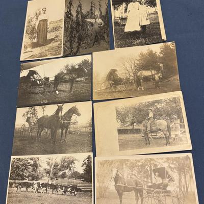 Vintage Postcard Lot
