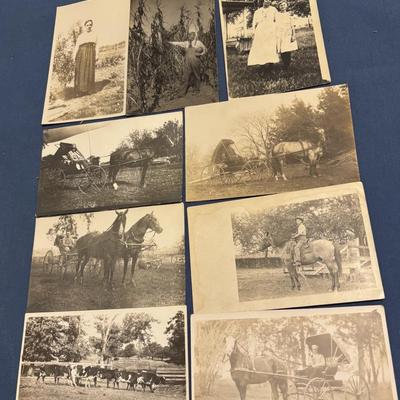 Vintage Postcard Lot