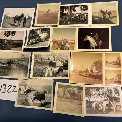 Vintage Farm Photo Lot