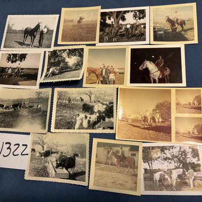 Vintage Farm Photo Lot