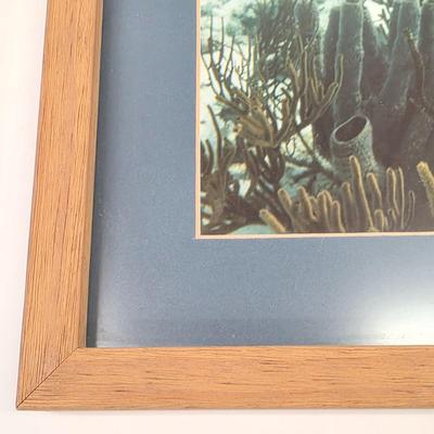 Sale Photo Thumbnail #932