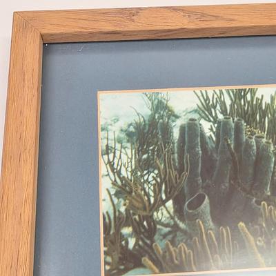 Sale Photo Thumbnail #930