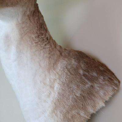 14-Point Fallow Deer Shoulder Mount