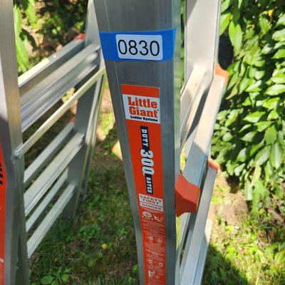 Little Giant Ladder M17 10502C