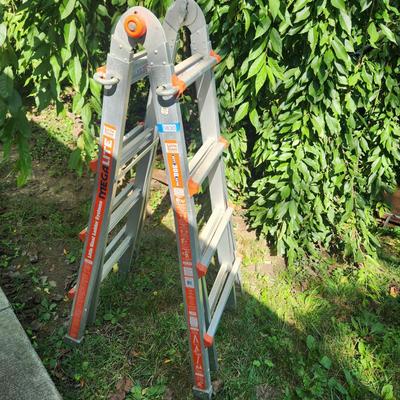Little Giant Ladder M17 10502C