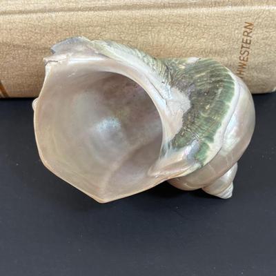 LOT 94: Turbo Marmoratus Shell Carved with The Lord's Prayer, Vintage Curiosities of the Bible Book, Carved Praying Hands Plaque,...