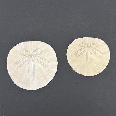 LOT 94: Turbo Marmoratus Shell Carved with The Lord's Prayer, Vintage Curiosities of the Bible Book, Carved Praying Hands Plaque,...