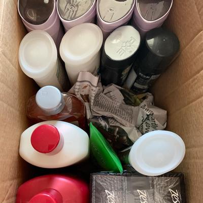 Shampoo / Toiletries Lot