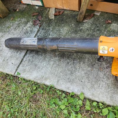 Puolan Gas Leaf Blower Untested Has Compression