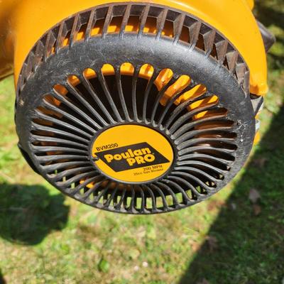 Puolan Gas Leaf Blower Untested Has Compression