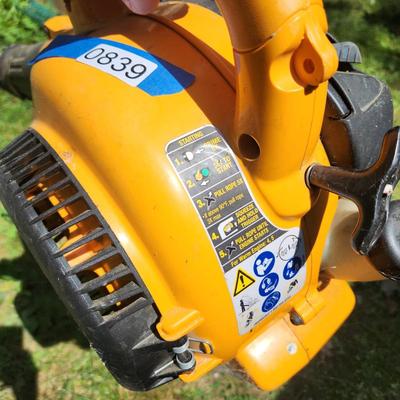 Puolan Gas Leaf Blower Untested Has Compression