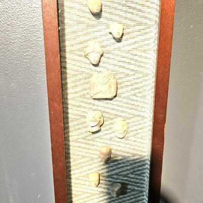 Framed Fragments of Ancient Egyptian Faience, 16 x 6