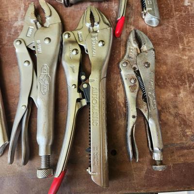 Large Lot of Vise Grip Tools