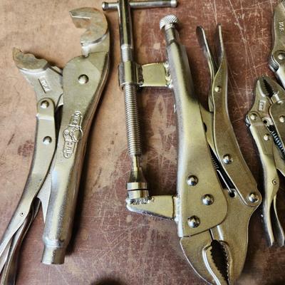Large Lot of Vise Grip Tools