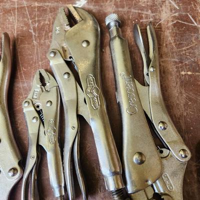 Large Lot of Vise Grip Tools