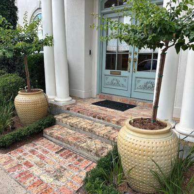 Pair of Large Glazed Ceramic Planters with Live Ornamental Trees – 30” Tall Pots