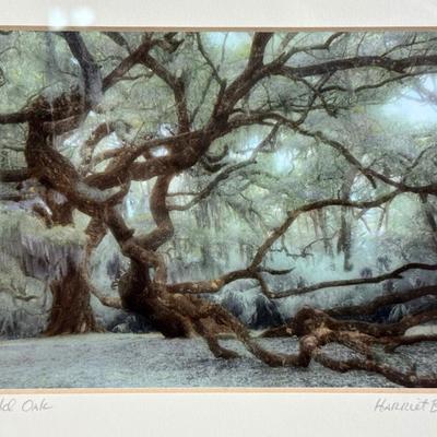 Set of 4 Hand-Colored Landscape Prints by Harriet Blum