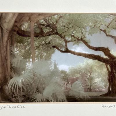 Set of 4 Hand-Colored Landscape Prints by Harriet Blum