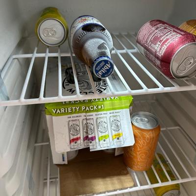 Blaze Stainless Outdoor Mini Fridge