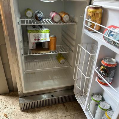 Blaze Stainless Outdoor Mini Fridge