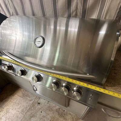 Blaze Built-In 5-Burner Natural Gas Grill – Stainless Steel Outdoor BBQ