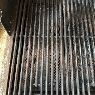 Blaze Built-In 5-Burner Natural Gas Grill – Stainless Steel Outdoor BBQ