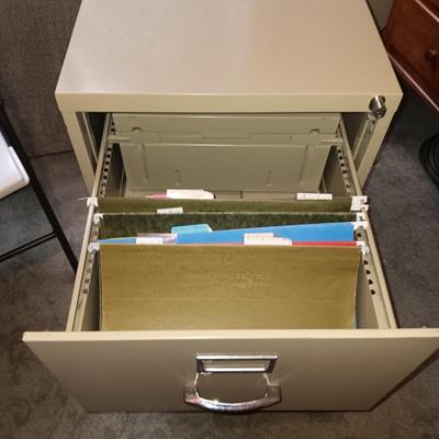 2 DRAWER LEGAL SIZE FILING CABINET, FOLDING CARD TABLE AND LIFETIME CHAIR