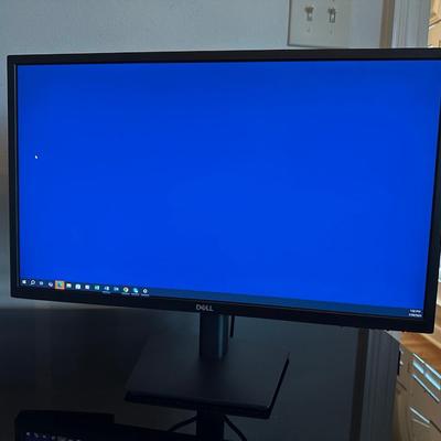 Pair of Dell 24” LED Monitors (2022)