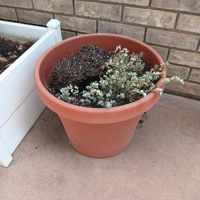 FLOWER POTS, CAST IRON FROG, CONCRETE SQUIRREL & WATERING CAN