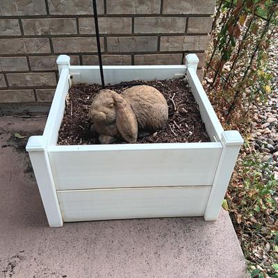 SQUARE PLANTER, SHEPHERDS HOOK AND CONCRETE RABBIT