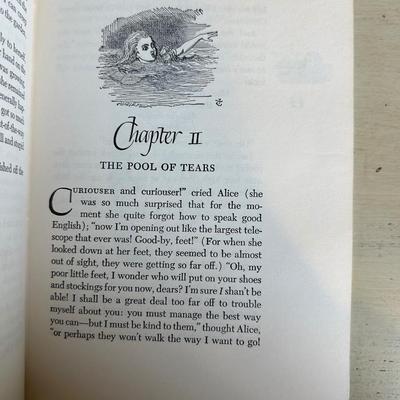 Vintage Illustrated Junior Library Series