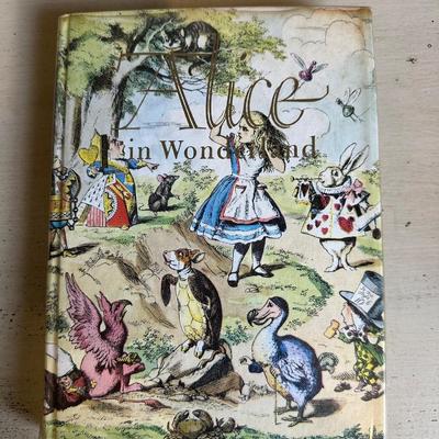 Vintage Illustrated Junior Library Series