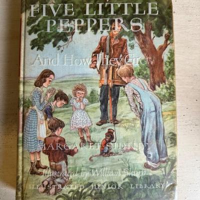 Vintage Illustrated Junior Library Series