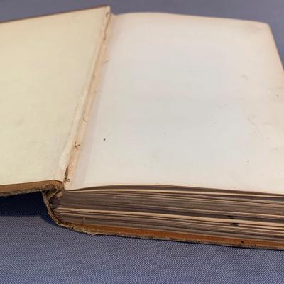 1874 Davey Crockett Illustrated Hardback