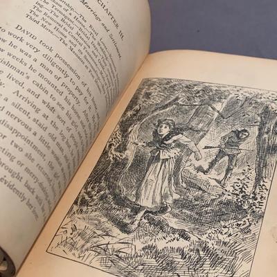 1874 Davey Crockett Illustrated Hardback
