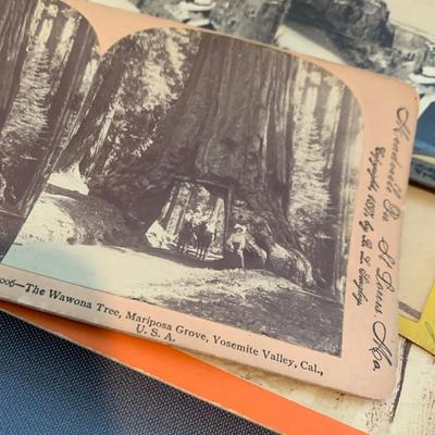 Lot of Rare Stereoview Cards