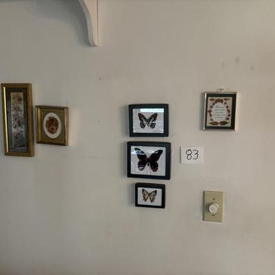 Butterflies and More