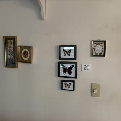 Butterflies and More