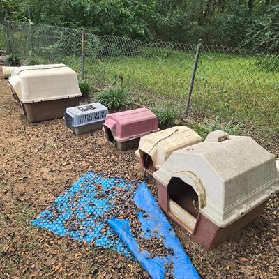 6 dog houses