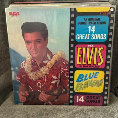 Sale Photo Thumbnail #7: Blue Hawaii