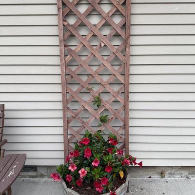 Planter with trellis