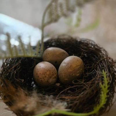 BIRD DECOR
