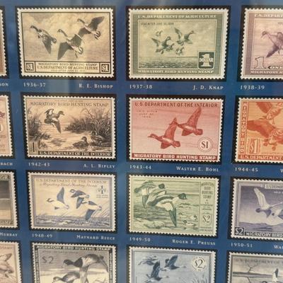 Federal Duck Stamps Framed