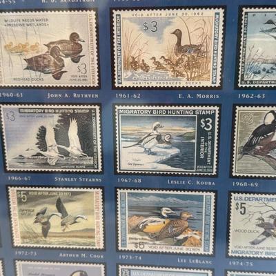 Federal Duck Stamps Framed