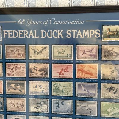 Federal Duck Stamps Framed