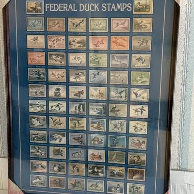 Federal Duck Stamps Framed