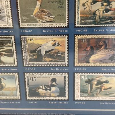Federal Duck Stamps Framed
